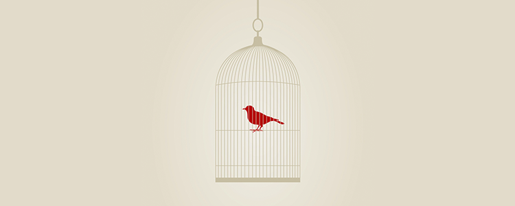 小黑ddos压力测试平台